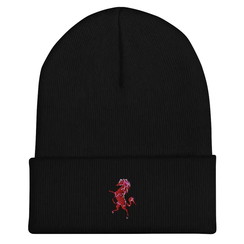 Winter Cap Shopping Online